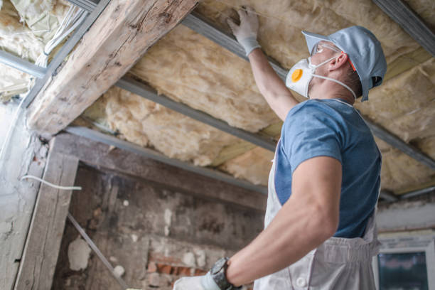 Best Attic Insulation Installation  in Lyons, CO